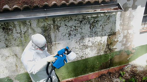 Top rated local Mold Remediation specialists in McAlisterville, PA